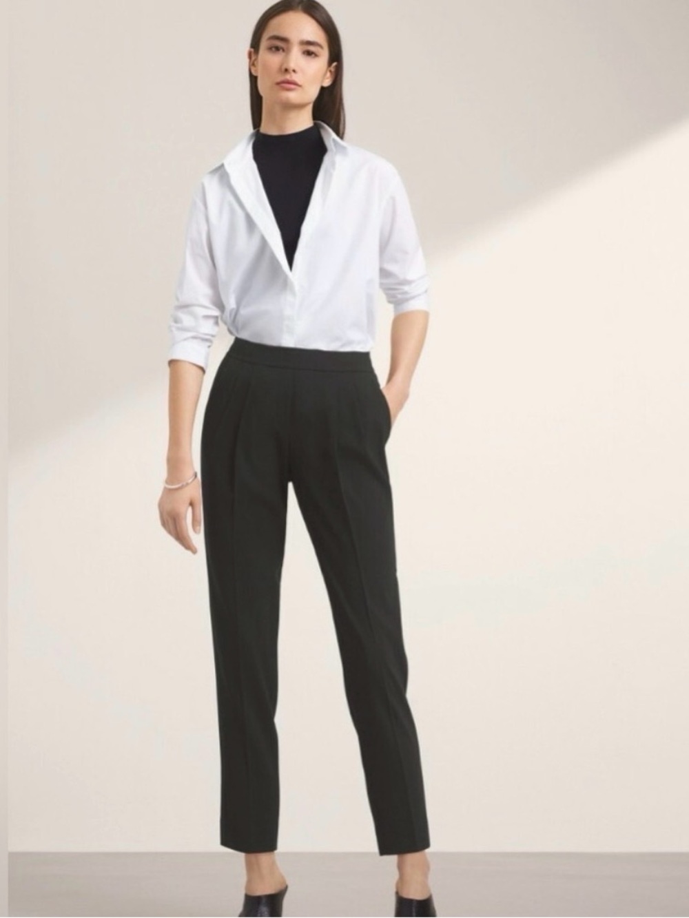 Aritzia Babaton Cohen High-Waist Tailored Trousers - Women's Pants